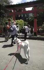 丹生都比売神社(和歌山県)