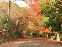 園城寺(三井寺)のその他建物