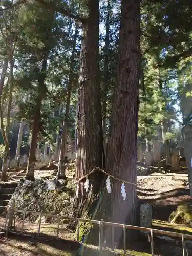駒ヶ嶽神社（前宮）(山梨県)