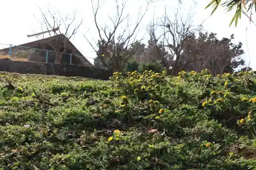 正観音堂の自然