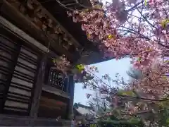 龍峰寺(神奈川県)