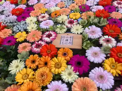 住吉神社の手水舎