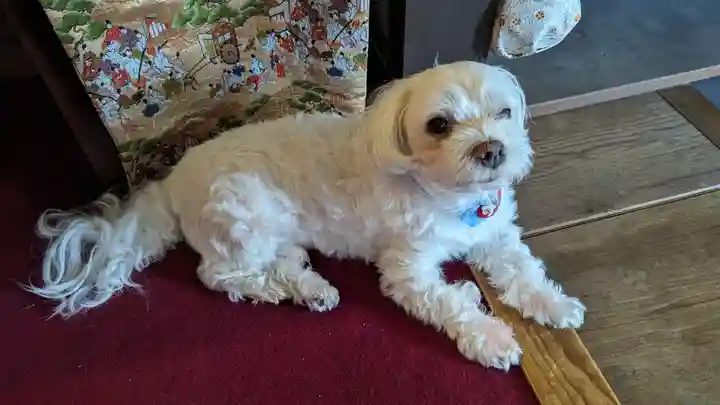 本昌寺(京都府)