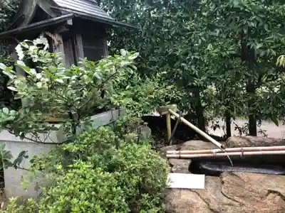 葛城一言主神社の手水舎
