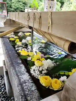 鳩森八幡神社の手水舎