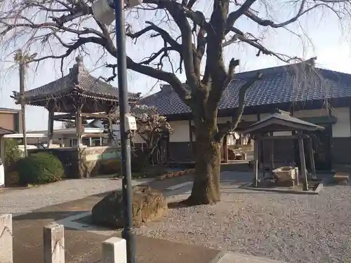 如意輪寺の本殿・本堂