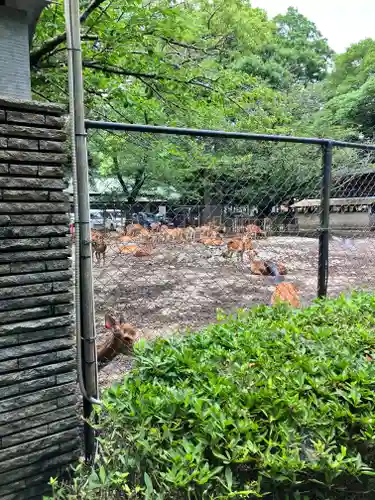 三嶋大社(静岡県)