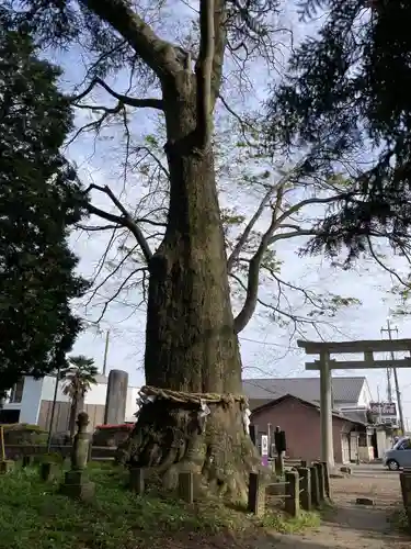 智賀都神社(栃木県)