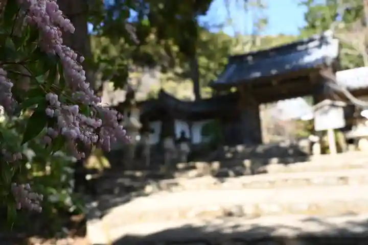 西明寺(京都府)