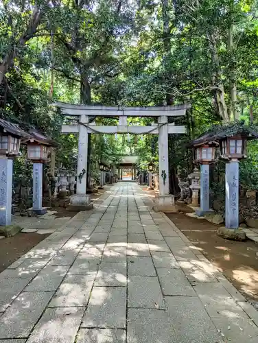 駒木諏訪神社の鳥居