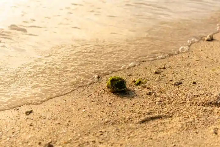 宮古神社(沖縄県)
