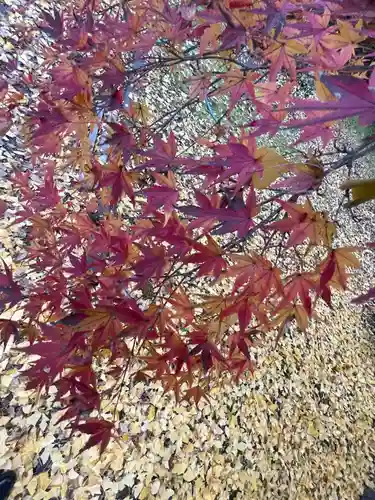 若宮神明社(愛知県)