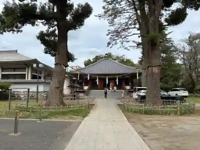 弘法寺(千葉県)