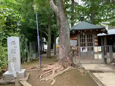 鳩森八幡神社(東京都)