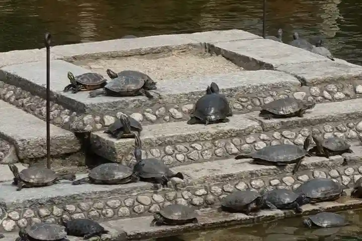 四天王寺(大阪府)