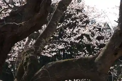 宇賀神さまの自然