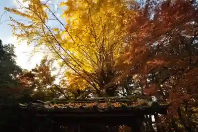 如法寺(愛媛県)