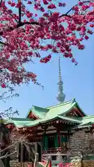 亀戸天神社(東京都)