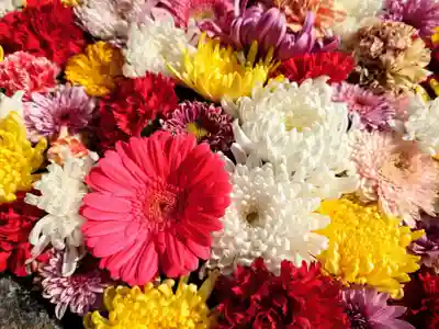 観音寺(東京都)