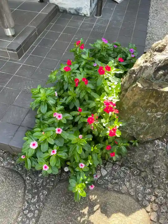 霊泉院(東京都)