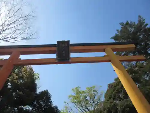 川越氷川神社の鳥居