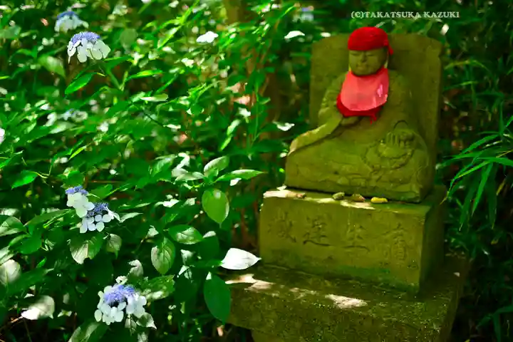 高幡不動尊 金剛寺(東京都)