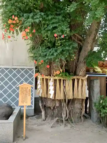 櫛田神社(福岡県)