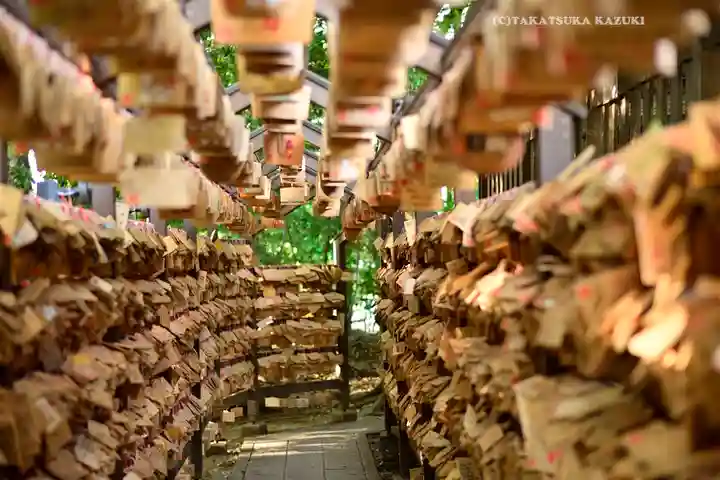 川越氷川神社(埼玉県)