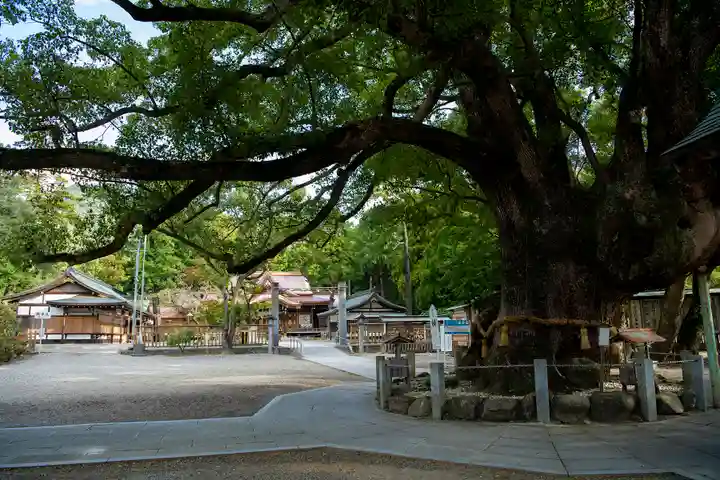 大麻比古神社(徳島県)