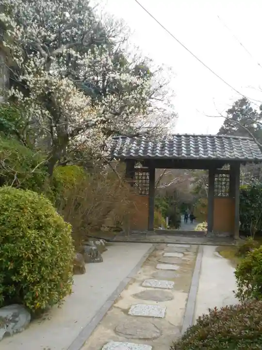 海蔵寺の山門・神門