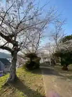 照日神社の自然