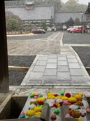 くろ谷 金戒光明寺の手水舎