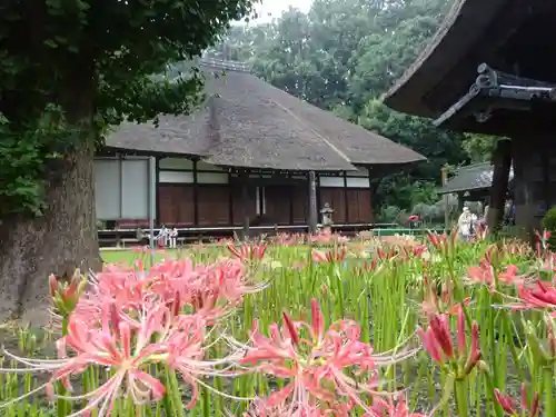 横浜　西方寺の本殿・本堂