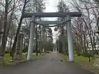 長沼神社の{uncategorized: "未分類", other: "その他", undefined: "問題あり", building: "その他建物", grave: "お墓", sacred_gate: "鳥居", guardian: "狛犬", statue: "像", buddha: "仏像", history: "歴史", nature: "自然", garden: "庭園", animal: "動物", pagoda: "塔", temizu: "手水舎", mountain_gate: "山門・神門", sanctuary: "本殿・本堂", subordinate: "末社・摂社", art: "芸術", scenery: "景色", jizo: "地蔵", ema: "絵馬", goshuin: "御朱印", omikuji: "おみくじ", items: "授与品その他", amulet: "お守り", goshuincho: "御朱印帳", eats: "食事", festival: "お祭り", votive_dance: "神楽", shichigosan: "七五三参", wedding: "結婚式", experience: "体験その他", initially: "初詣", around: "周辺", anti_infection: "感染症対策"}