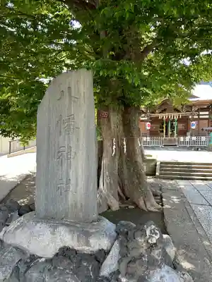 滝野川八幡神社(東京都)