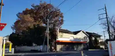 吹上天神社の景色