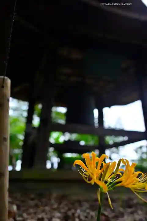 横浜 西方寺(神奈川県)