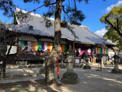 大樹寺（松安院大樹寺）(愛知県)