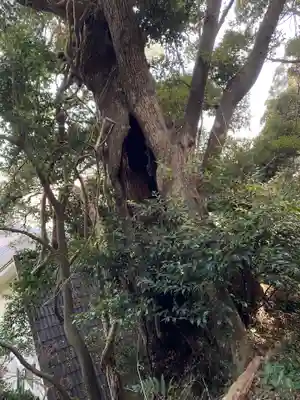 山王神社の庭園