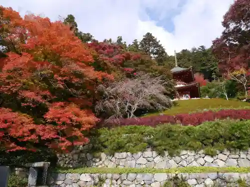 勝尾寺の自然