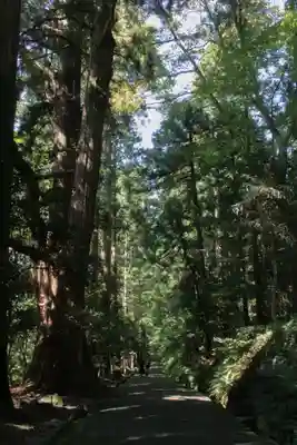白山比咩神社のその他建物