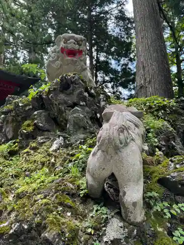 富士山東口本宮 冨士浅間神社の狛犬