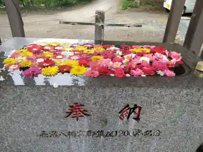 長沼八幡宮(栃木県)
