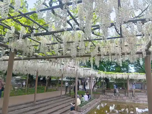 曼陀羅寺(愛知県)