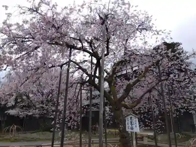 城福寺(福井県)