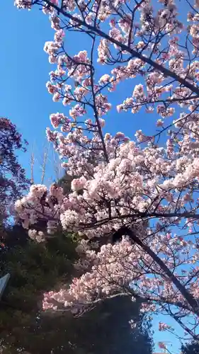 鶴見神社(神奈川県)