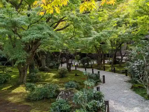 圓光寺の庭園