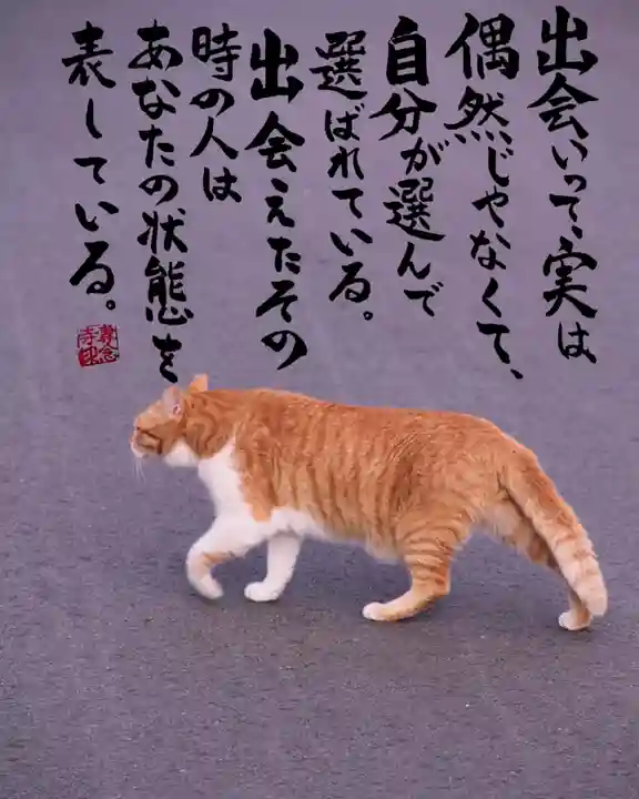 専念寺(大阪府)