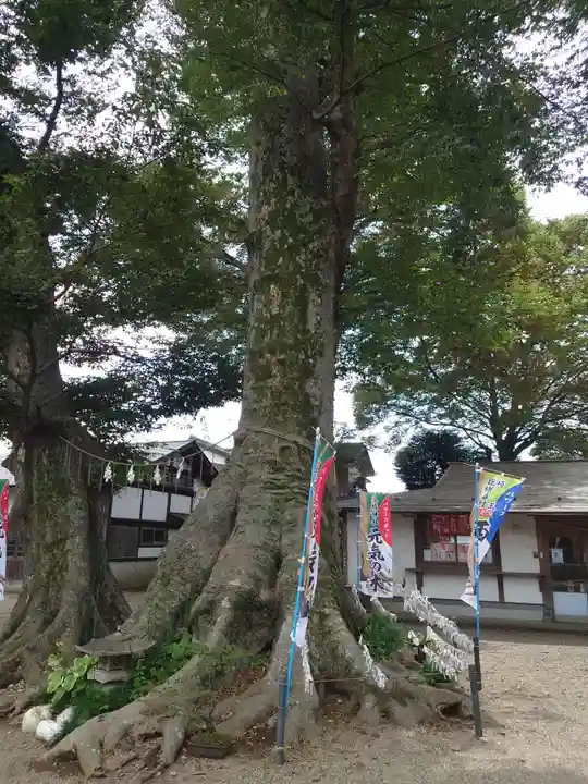 八枝神社の自然