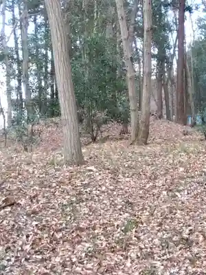 市場神社(埼玉県)